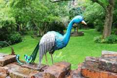 romantic-garden-2020054
