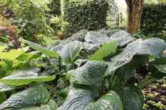 romantic-garden-2020058